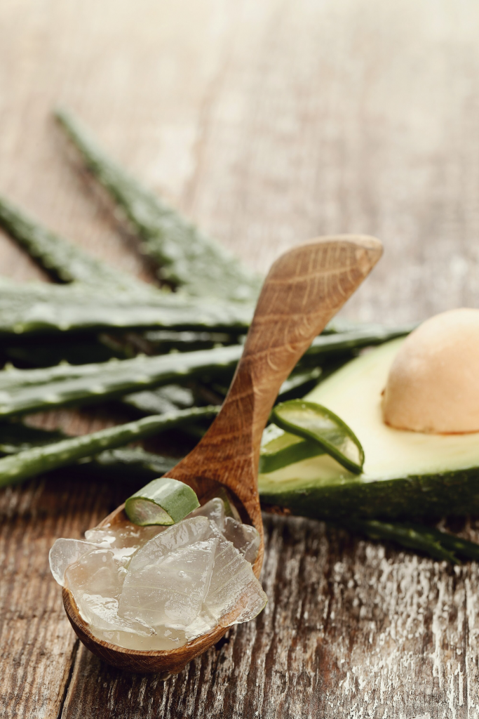 Découvrez les Bienfaits de l’Aloe Vera et les produits LR